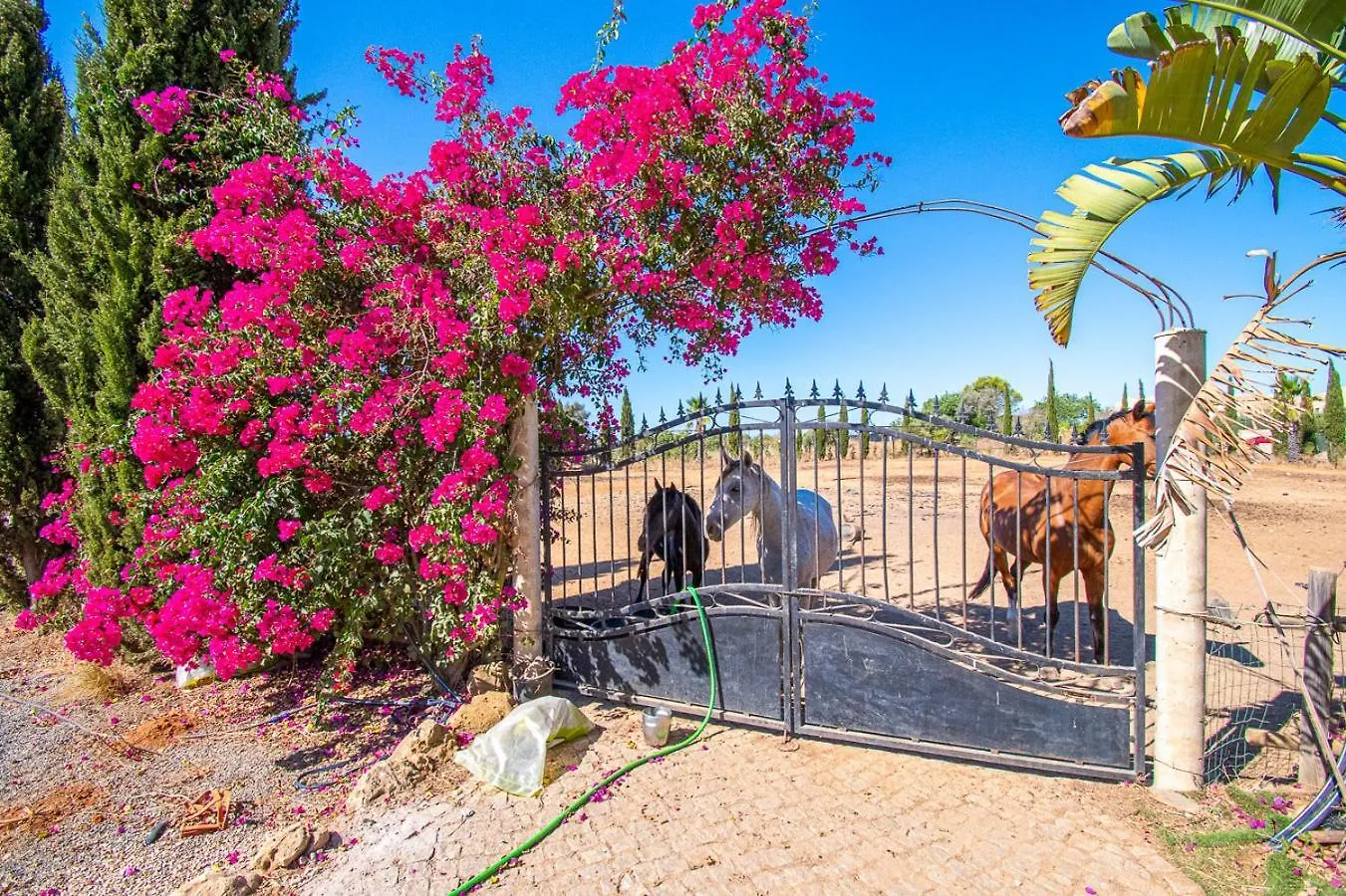 Yoba Horse Farm - Charming 3-Bedroom Farmhouse Carvoeiro  Portugalsko