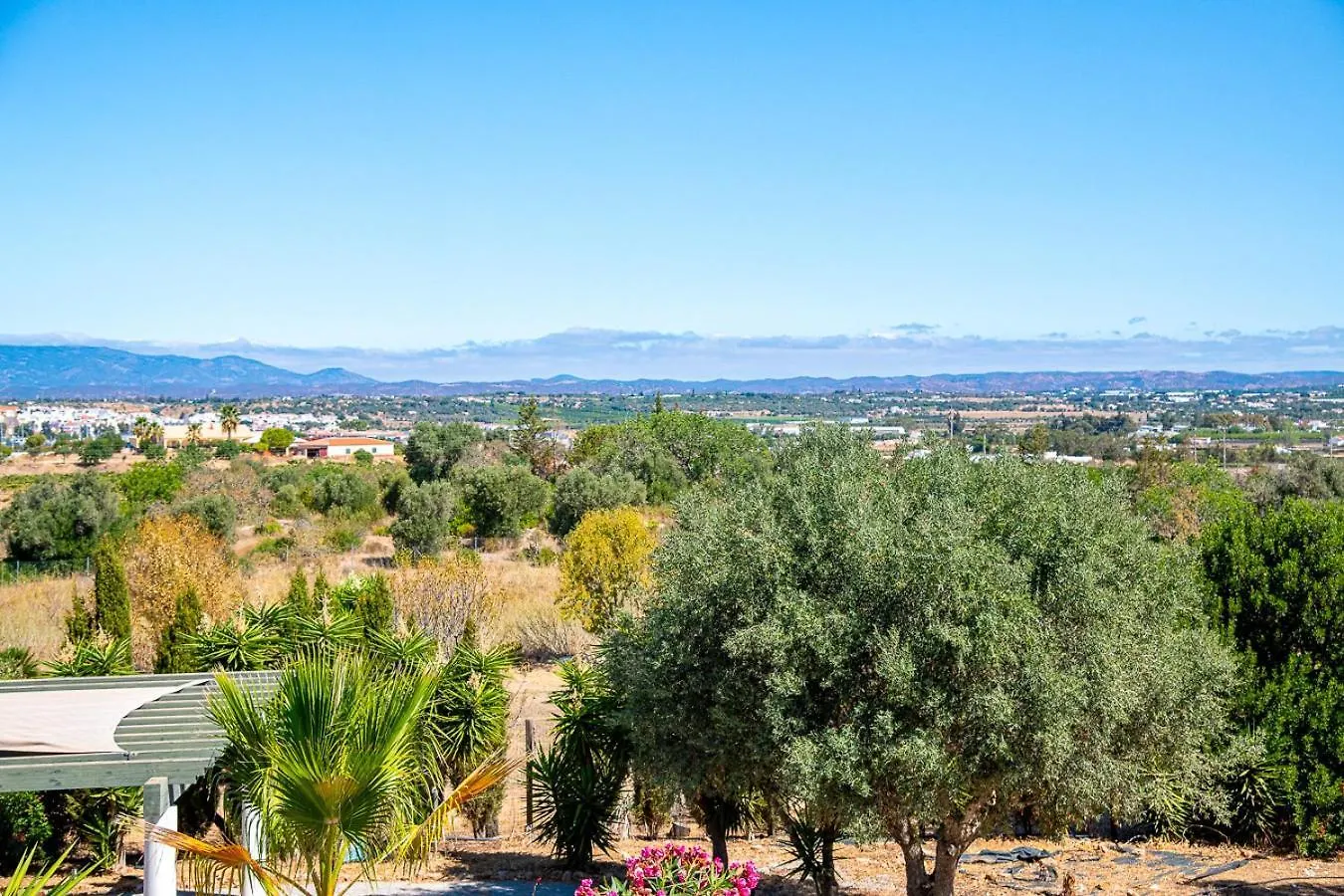 Villa Yoba Horse Farm - Charming 3-Bedroom Farmhouse Carvoeiro